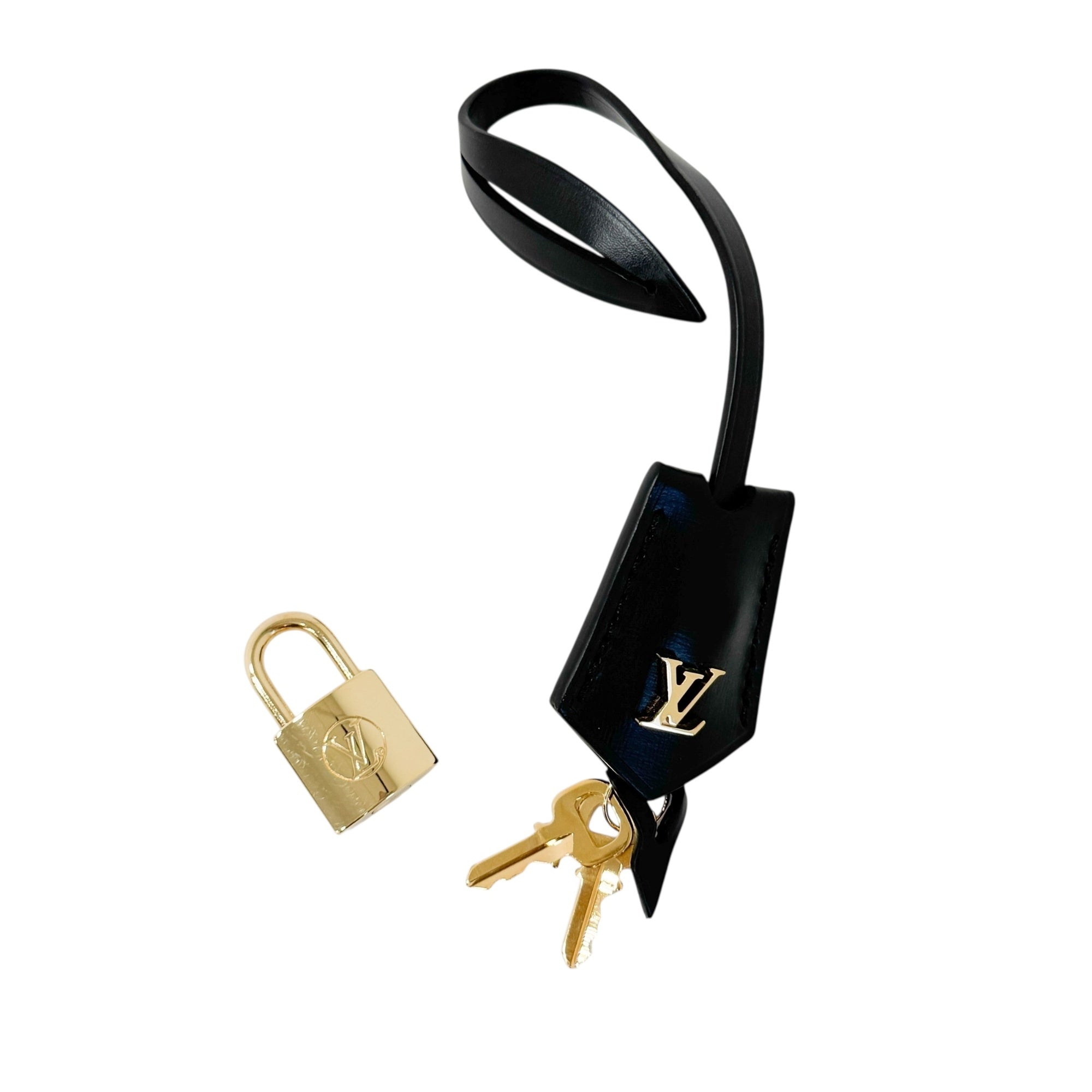 LV Vanity NV PM Monogram Reverse M45165 Brown